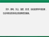 人教版 必修2  4.1 信息安全与社会责任  课件
