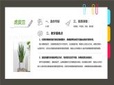 10.12课件《6-8岁创意写生画一盆美丽的虎皮兰》(2)