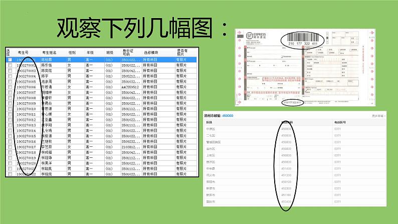 1.2.1项目二第一课时 探究计算机中的数据表示1.从树牌号认识编码 教案  课件 沪科版（2019）高中信息技术必修104