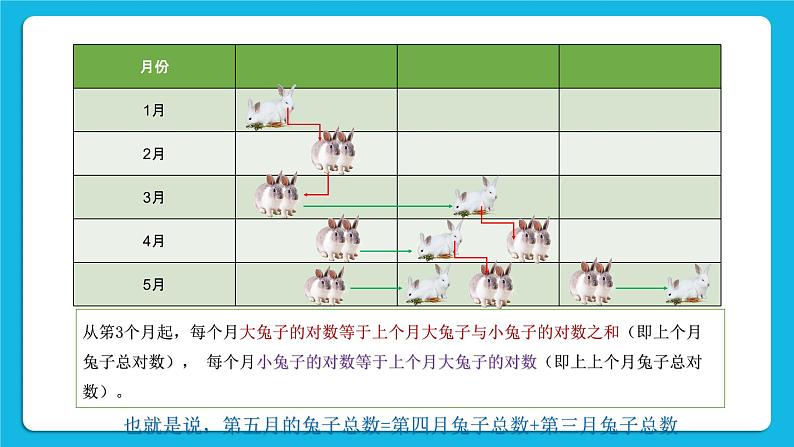 新教科版高中信息技术 必修1课件 4.2 数值计算（第二课时） PPT课件06