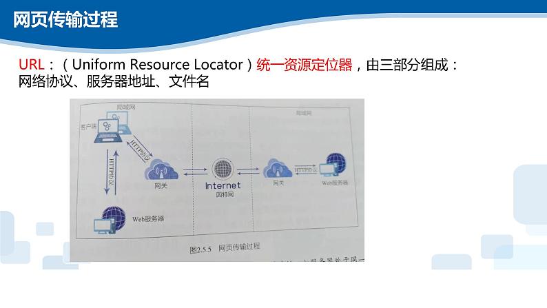 2.6网络组成及应用软件开发课件PPT04