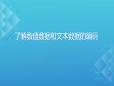 1.2.2项目二第二课时 了解数值数据和文本数据的编码 教案 课件（沪科版2019必修1）