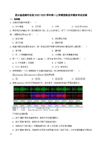 四川省成都市名校2022-2023学年高一上学期信息技术期末考试试卷