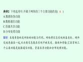 高中信息技术学考复习第7章信息系统的支撑技术课时25网络系统、网络应用软件开发课件