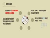 粤教版高中信息技术必修第一册 1.3信息及其特征 课件