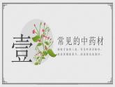 中医药材知识讲解知识科普水墨中国风PPT