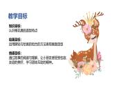 206、《一棵特别的树》+课件