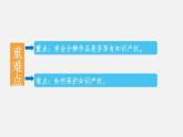 必修2 5.2 信息社会的法律法规 第2课时 PPT课件