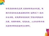 中图版信息技术 必修2 4.1.1 信息系统安全风险 课件