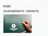 教科版高中必修二信息技术 5.2信息社会的法律法规第2课时PPT课件