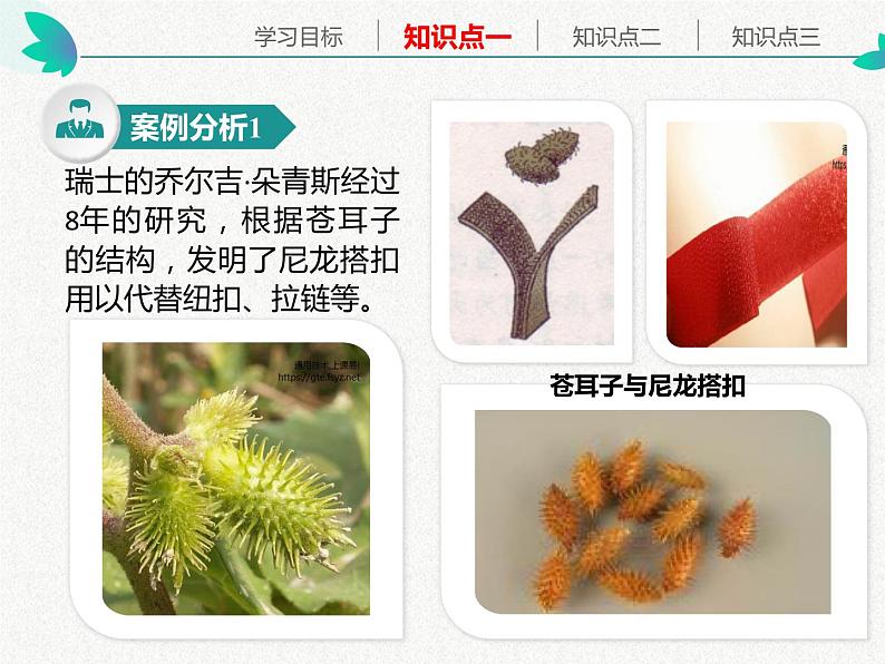 苏教版高中通用技术 必修2 1.1 常见结构的认识(1)（课件）第7页