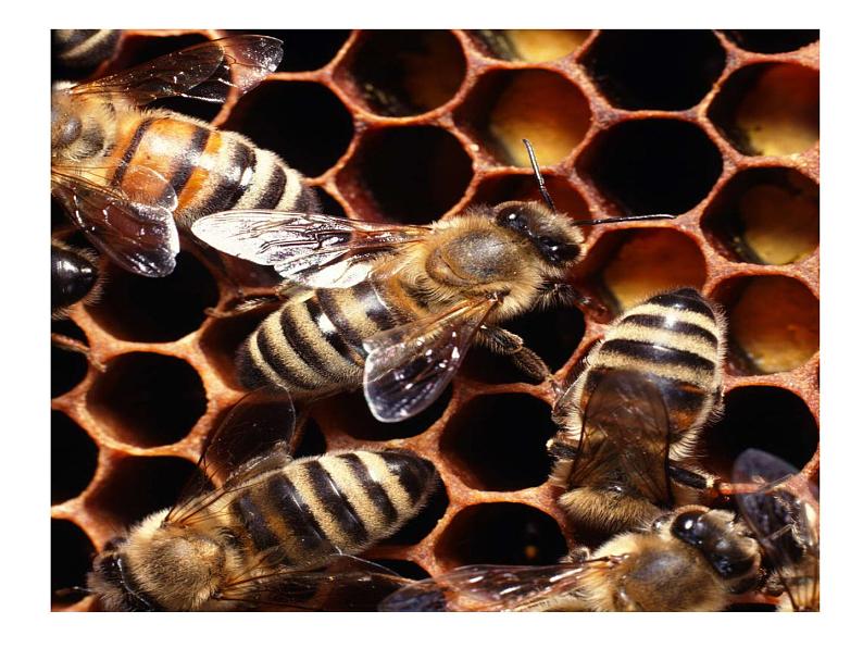 苏教版高中通用技术 必修2 1.1 常见结构的认识_(1)（课件）03