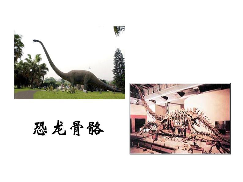 苏教版高中通用技术 必修2 1.1 常见结构的认识_(1)（课件）05