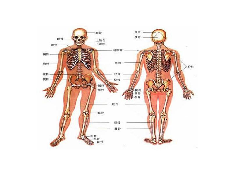苏教版高中通用技术 必修2 1.1 常见结构的认识_(1)（课件）07