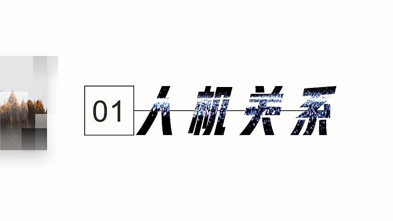 苏教版高中通用技术 必修一2.2 设计中的人机关系(1) 课件第4页