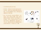 2.2设计的原则-【新教材】2021-2022学年地质版（2019）高中通用技术必修《技术与设计1》课件