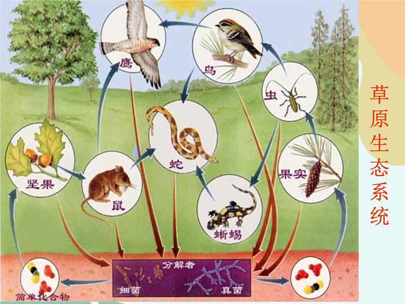 苏教版通用技术 技术与设计2第一节、系统及其特性 任务一  认识系统及其构成 课件第6页