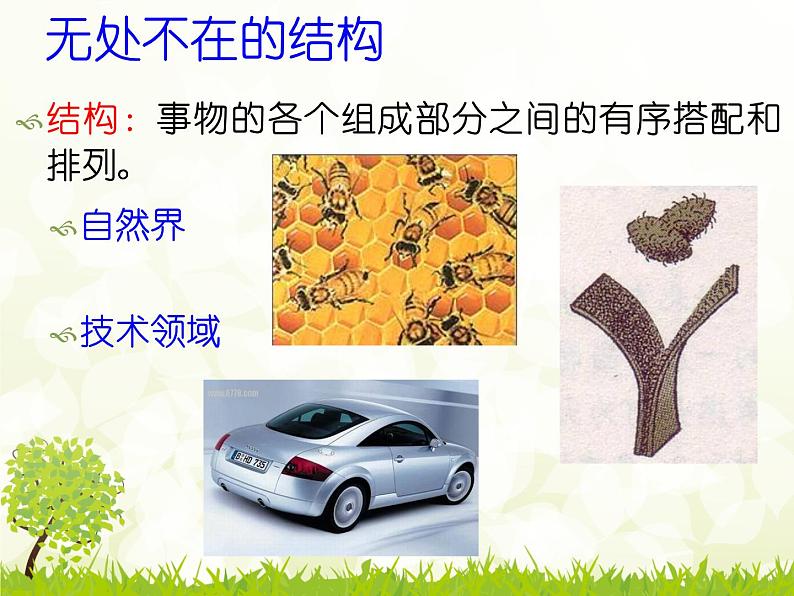 苏教版高中通用技术 必修2 1.1 常见结构的认识（课件）第3页