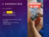 苏教版通用技术必修二 1.2 稳固结构的探析 课件PPT