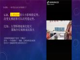 苏教版通用技术必修二 1.2 稳固结构的探析 课件PPT