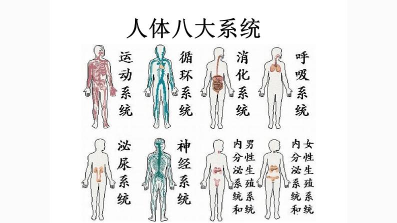 地质版（2019）必修《设计与技术2》同步课件第二节系统分析案例05