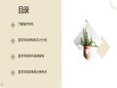 地质版（2019）必修《设计与技术2》同步课件第四节1简单系统设计案例分析