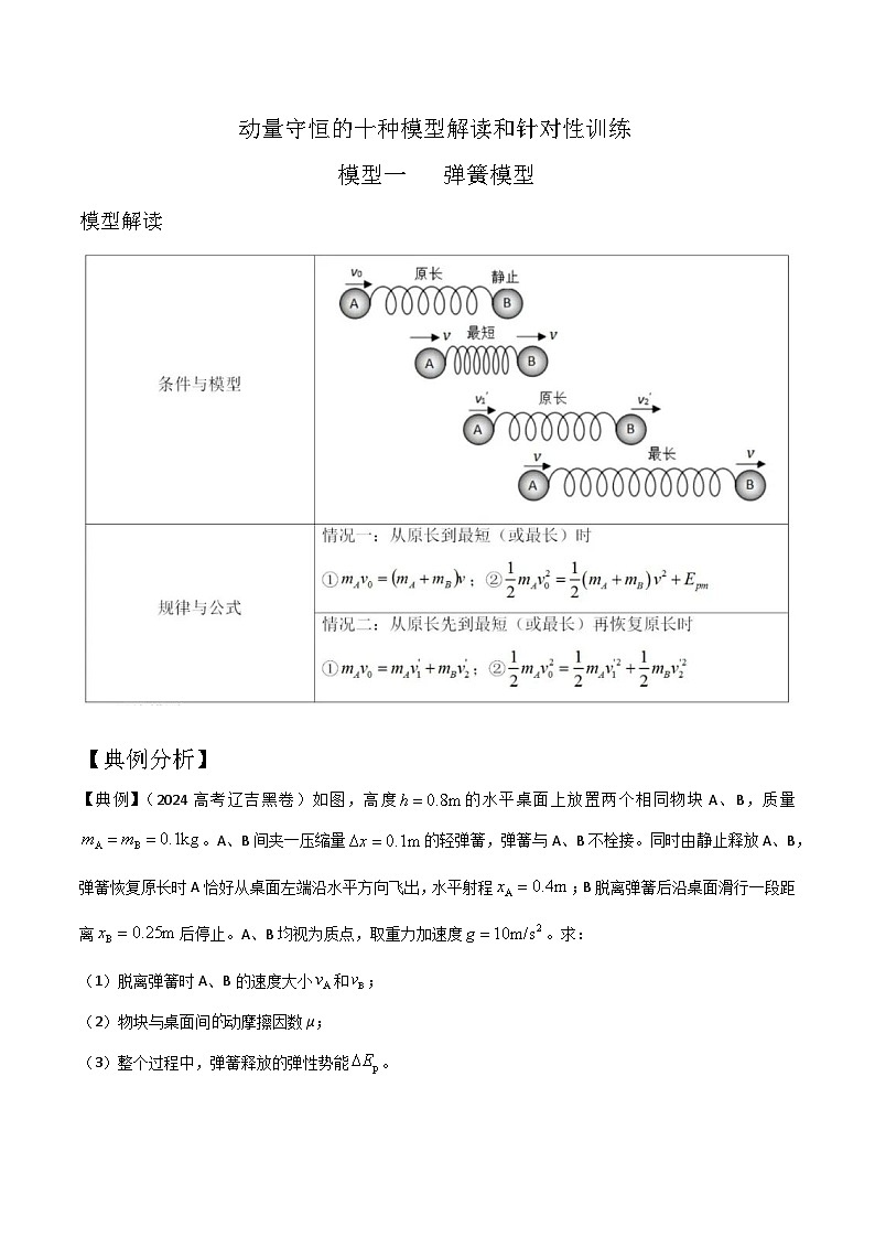 模型1弹簧模型（解析版）-动量守恒的十种模型解读和针对性训练第1页
