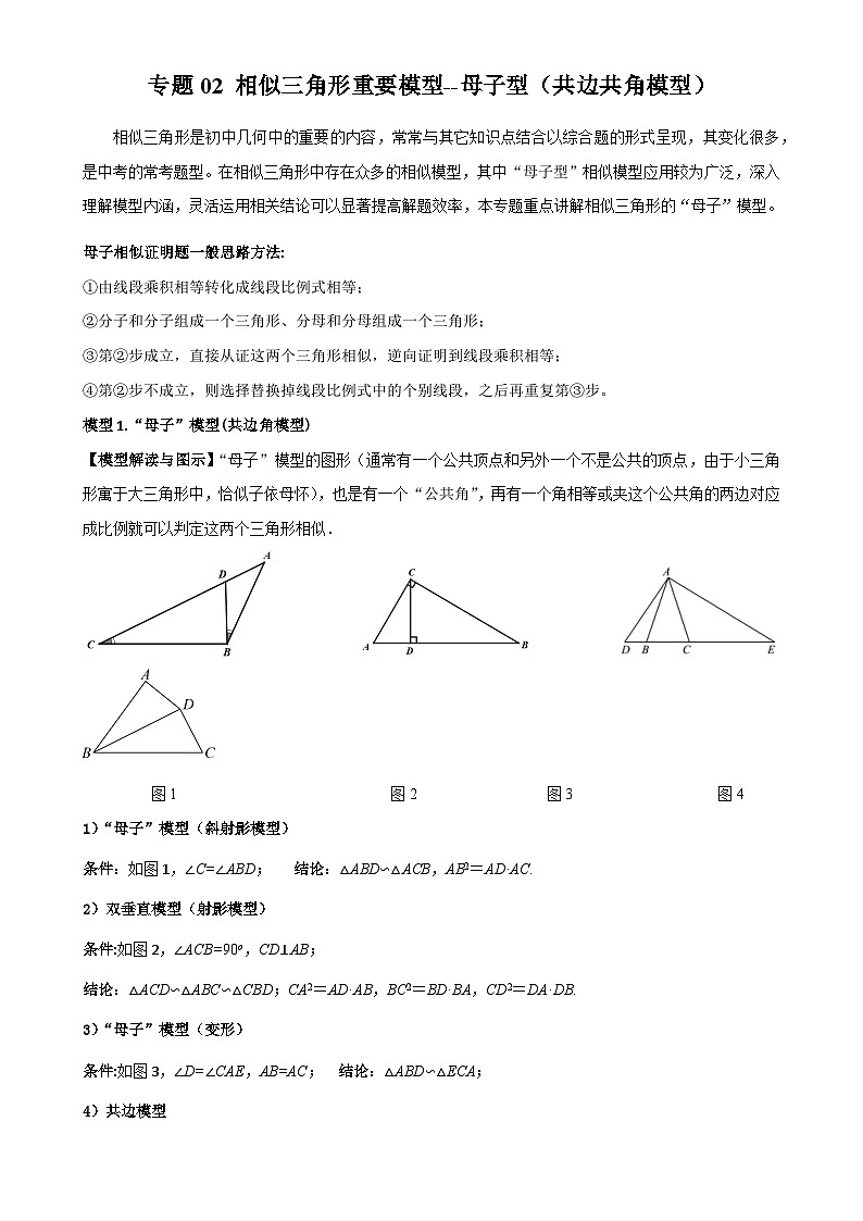 专题02 相似三角形重要模型-母子型（共边共角模型）（原卷版）-A4第1页