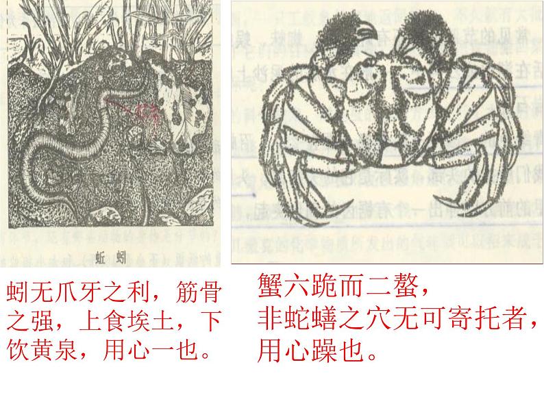 高中语文人教统编版必修上册 第六单元 10.1《劝学》背诵指导课课件第8页