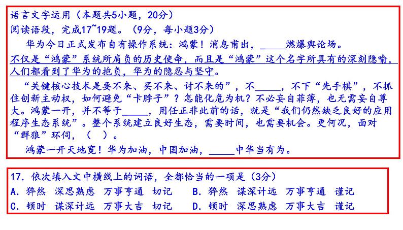 高考语文全国卷语言文字运用三十二练(共445张PPT）第3页