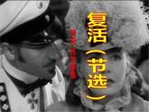 3.8《復活（節(jié)選）》（教學課件）高中語文選擇性必修上冊同步教學 （統(tǒng)編新版）