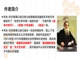 3.8《復活（節(jié)選）》（教學課件）高中語文選擇性必修上冊同步教學 （統(tǒng)編新版）