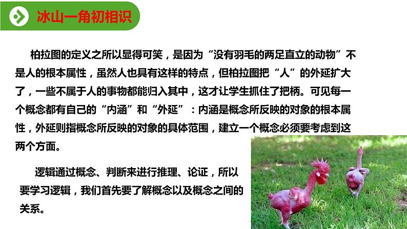 4.1《发现潜藏的逻辑谬误》（教学课件）高中语文选择性必修上册同步教学 （统编新版）05