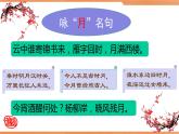 《春江花月夜》（教学课件）高中语文选择性必修上册同步教学 （统编新版）