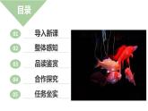 高中語文人教統(tǒng)編版 必修下冊 第三單元7.2 《一名物理學(xué)家的教育歷程》（教學(xué)課件）