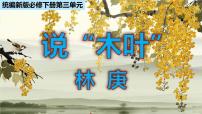 高中语文人教统编版必修 下册9 说“木叶”教学ppt课件