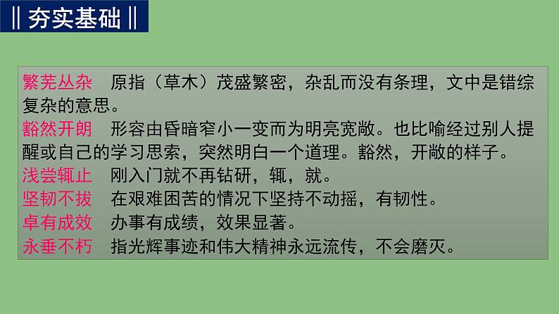 高中语文人教统编版 必修下册 第五单元10.2《在马克思墓前的讲话》（教学课件）06