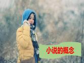 高中语文人教统编版必修下册 小说阅读综述（教学课件）