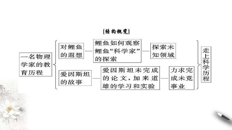 高中语文人教统编版必修下册　3.7.2《一名物理学家的教育历程》课件（1）(共42张PPT)第8页