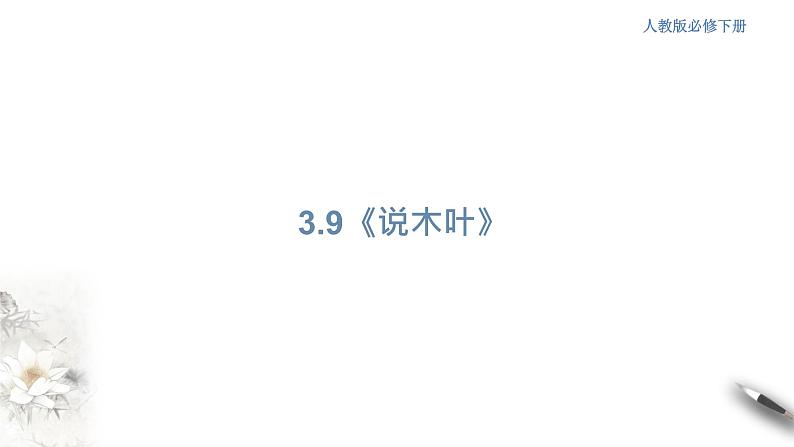 高中语文人教统编版必修下册　3.9 《说“木叶”》课件（1）(共42张PPT)01