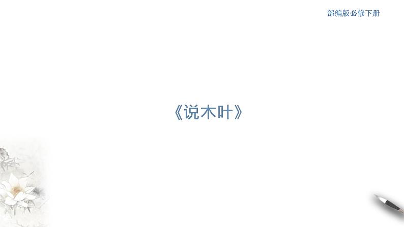 高中语文人教统编版必修下册　3.9 《说“木叶”》课件（2）(共31张PPT)第1页