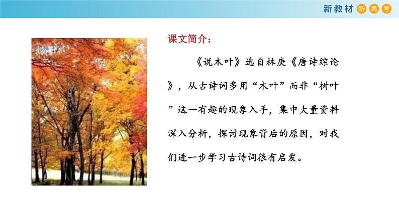 高中语文人教统编版必修下册　3.9 《说“木叶”》课件（2）(共31张PPT)第2页