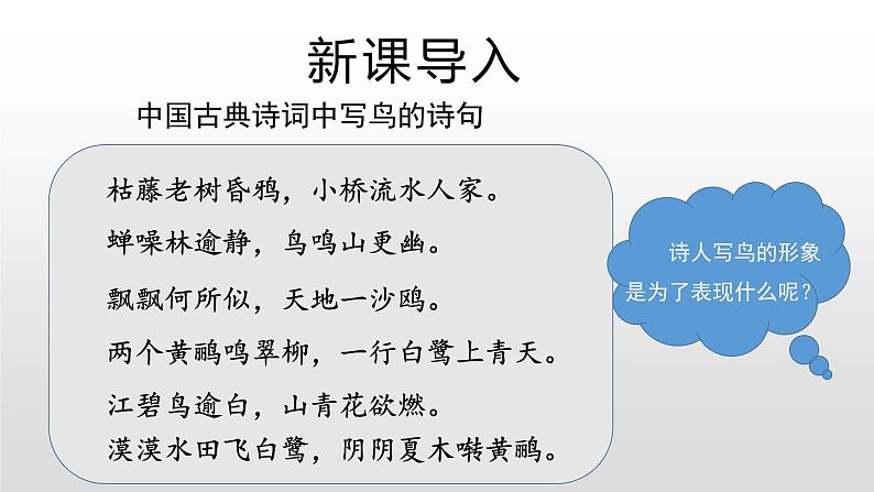 高中语文人教统编版必修上册《2.4 致云雀》优秀教学课件第2页