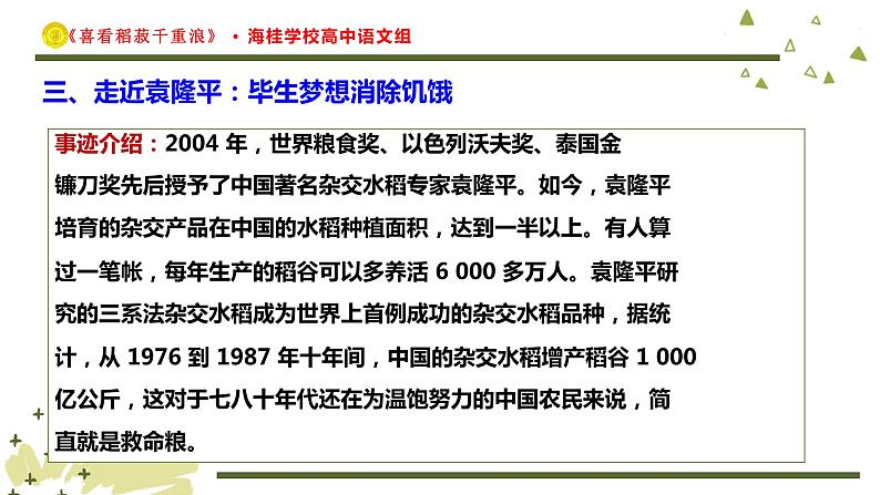 高中语文人教统编版必修上册《4.1 喜看稻菽千重浪――记首届国家最高科技奖获得者袁隆平》多媒体精品ppt课件第6页