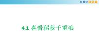 高中语文人教统编版必修 上册4.1 喜看稻菽千重浪――记首届国家最高科技奖获得者袁隆平备课课件ppt