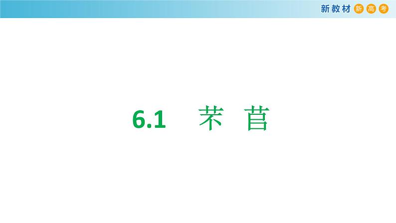 高中语文人教统编版必修上册《6.1 芣苢》优质教学课件（统编版）.ppt第1页