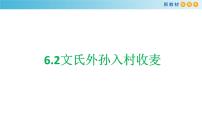 语文必修 上册6.2 文氏外孙入村收麦教学ppt课件