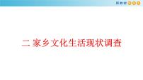 高中语文人教统编版必修 上册二 家乡文化生活现状调查备课课件ppt