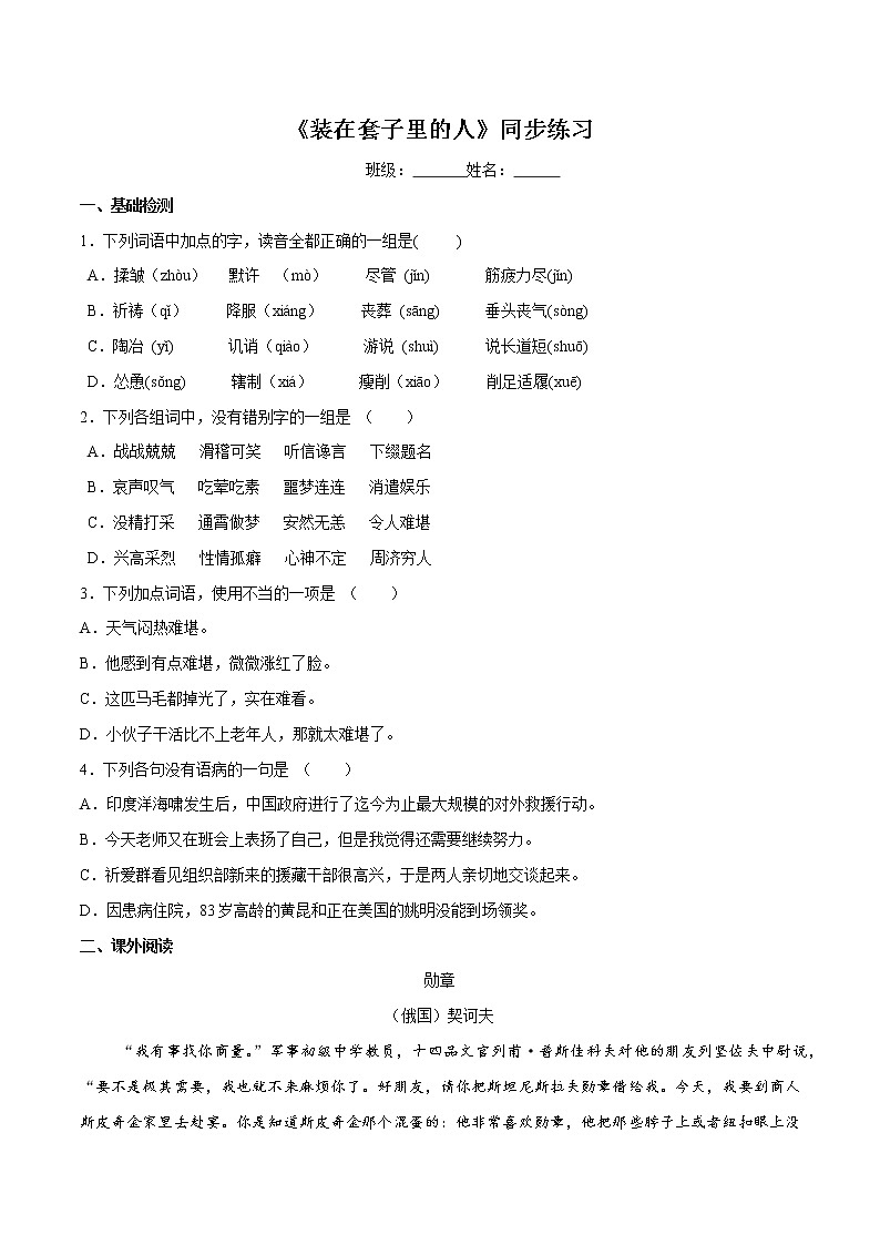 6.13.2 《装在套子里的人》同步练习（2）（原卷版）第1页