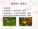 《虞美人》課件統(tǒng)編版高中語文必修上冊
